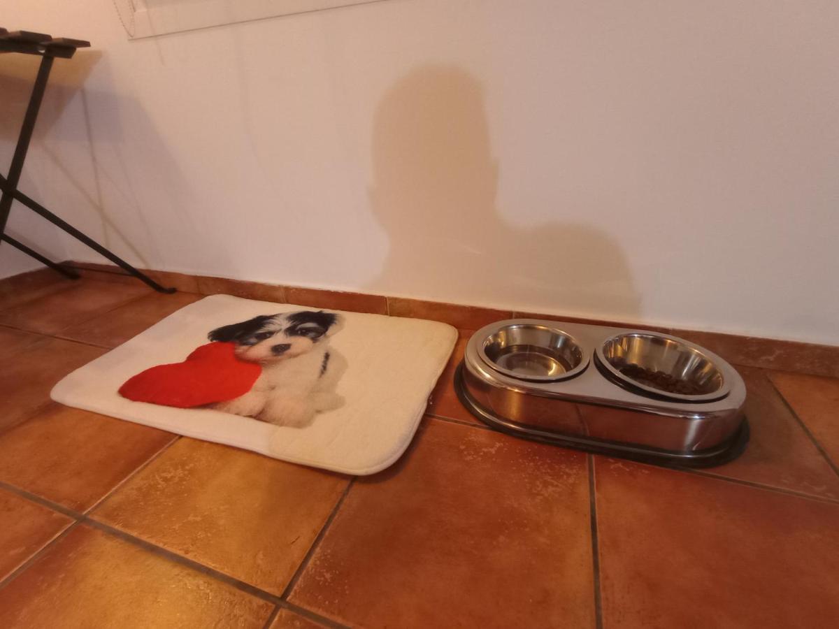 Casa De Campo Los Manueles Ideal Perros Pet Friendly Gojar Extérieur photo