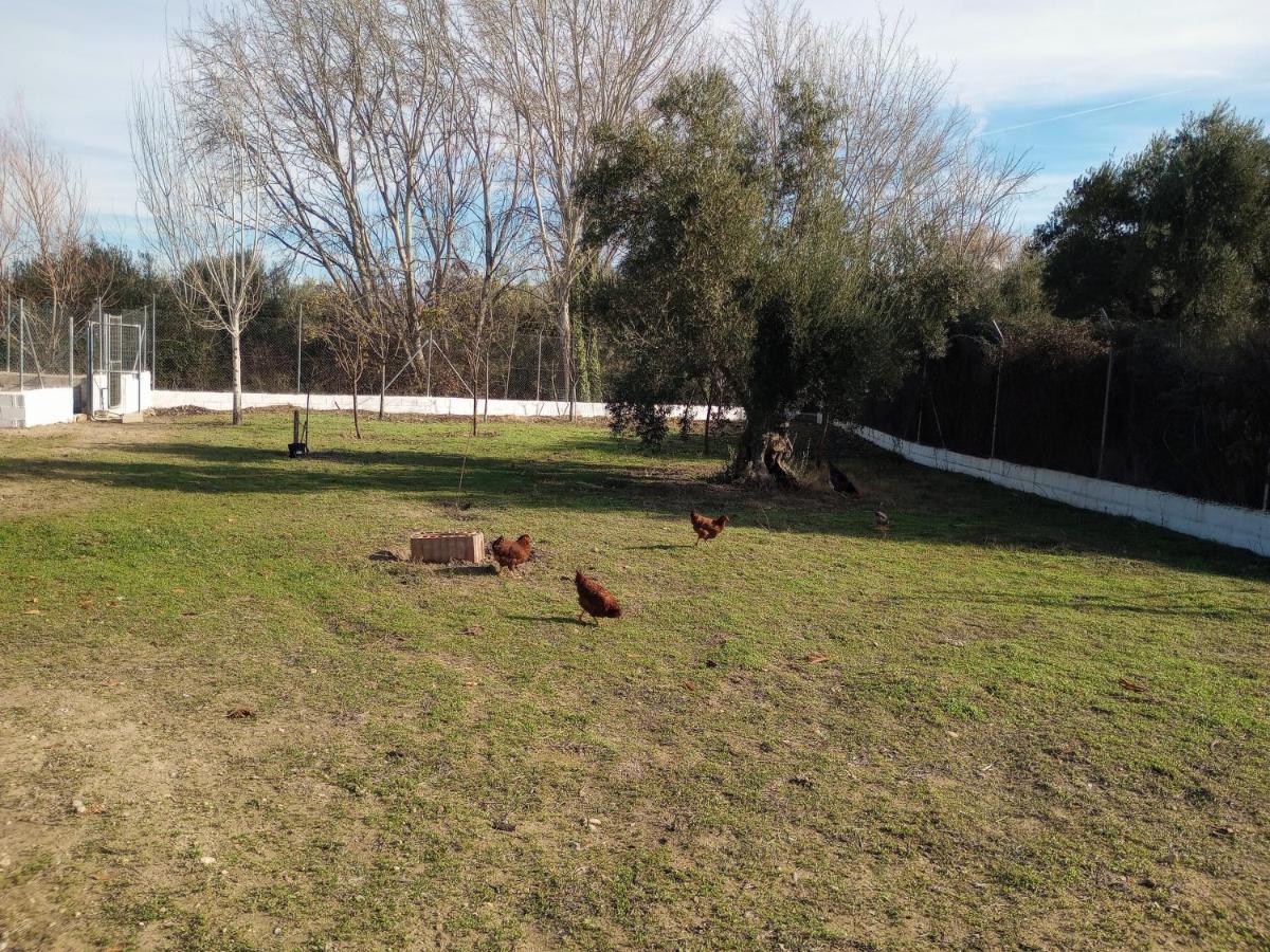 Casa De Campo Los Manueles Ideal Perros Pet Friendly Gojar Extérieur photo