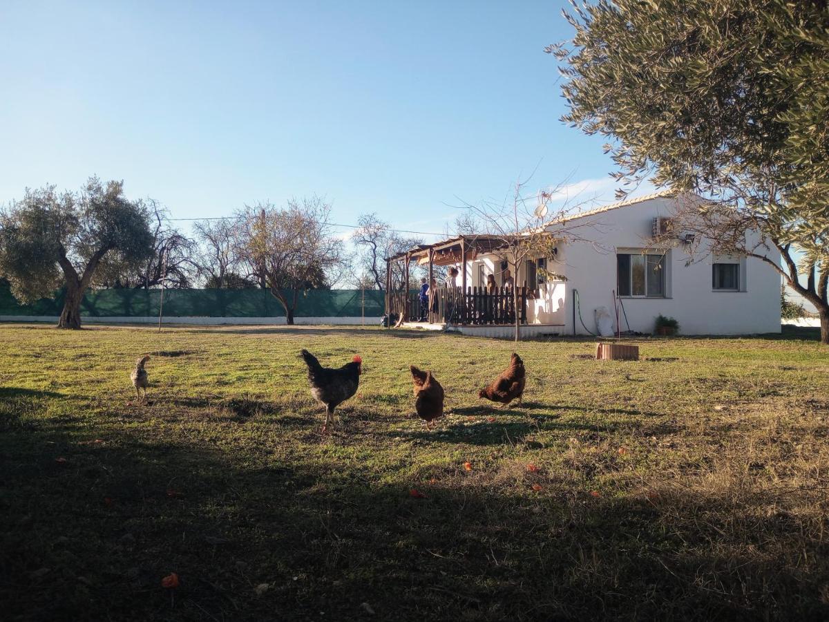 Casa De Campo Los Manueles Ideal Perros Pet Friendly Gojar Extérieur photo
