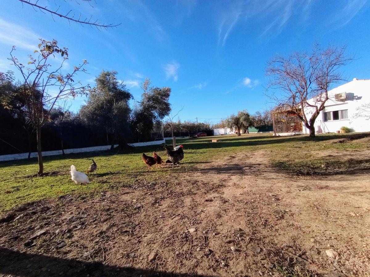 Casa De Campo Los Manueles Ideal Perros Pet Friendly Gojar Extérieur photo