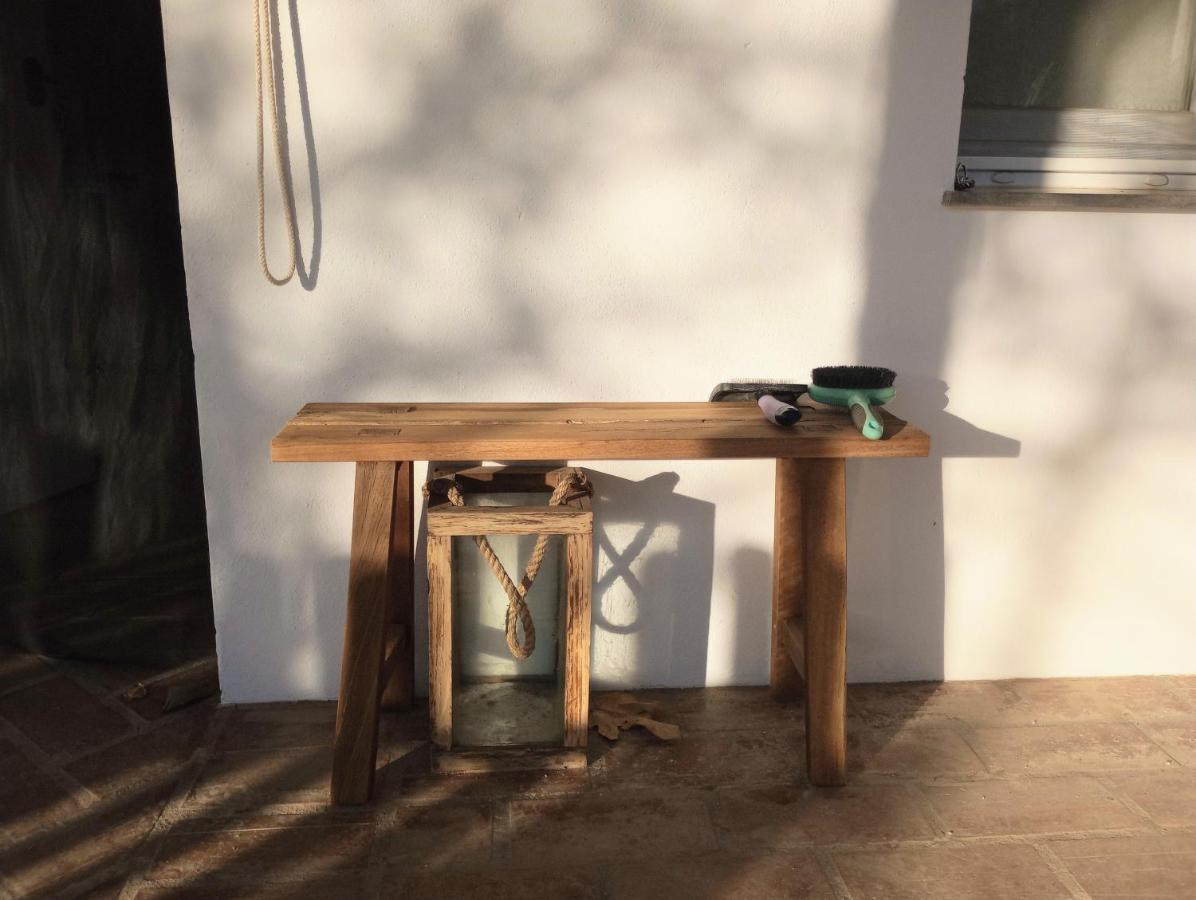 Casa De Campo Los Manueles Ideal Perros Pet Friendly Gojar Extérieur photo