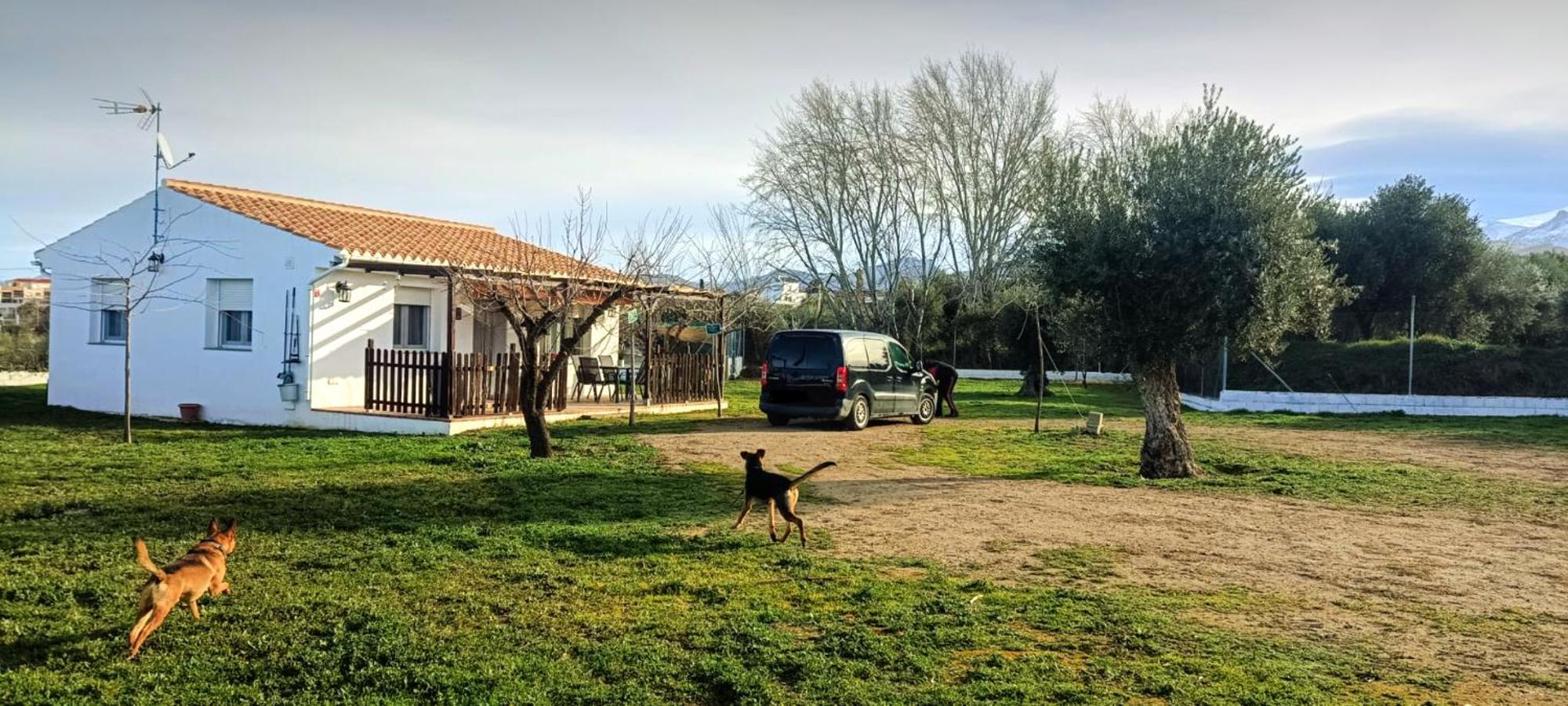 Casa De Campo Los Manueles Ideal Perros Pet Friendly Gojar Extérieur photo